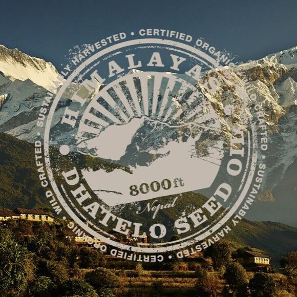 Tweak'd By Nature Restore Original Cleansing Volumizing Hair Scrub Amber Vanilla - Picture 3 of 3